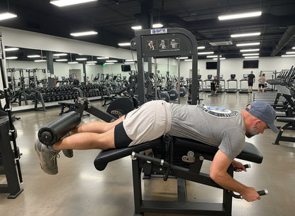 SFE Selectorized Leg Extension & Prone Leg Curl Machine