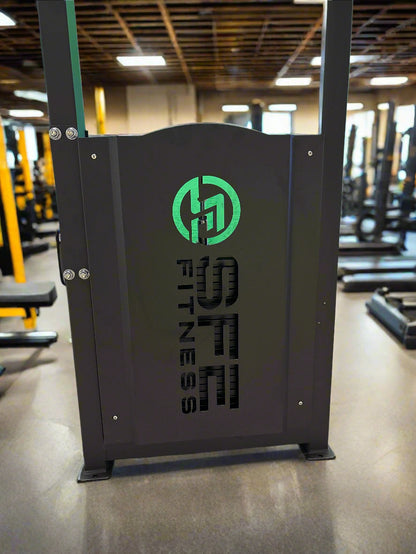 SFE Selectorized Back & Ab Combo Machine