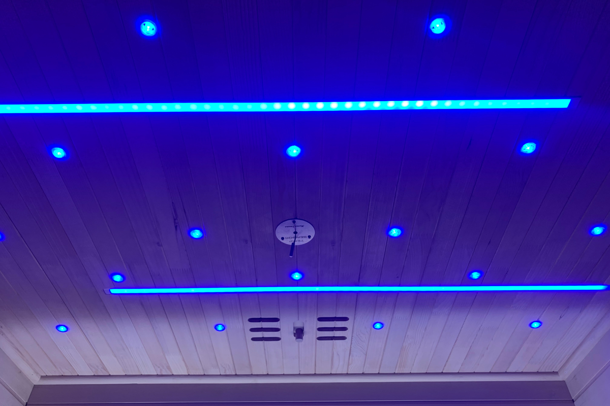 Blisspod Bergen 2-Person Full-Spectrum Low-EMF Sauna with Red Light