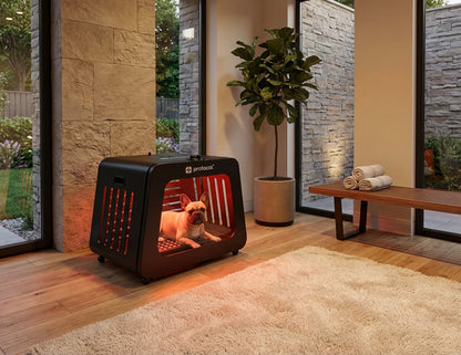 Small Pet Red Light Capsule – Full-Body Red &amp; Near-Infrared Light Wellness System