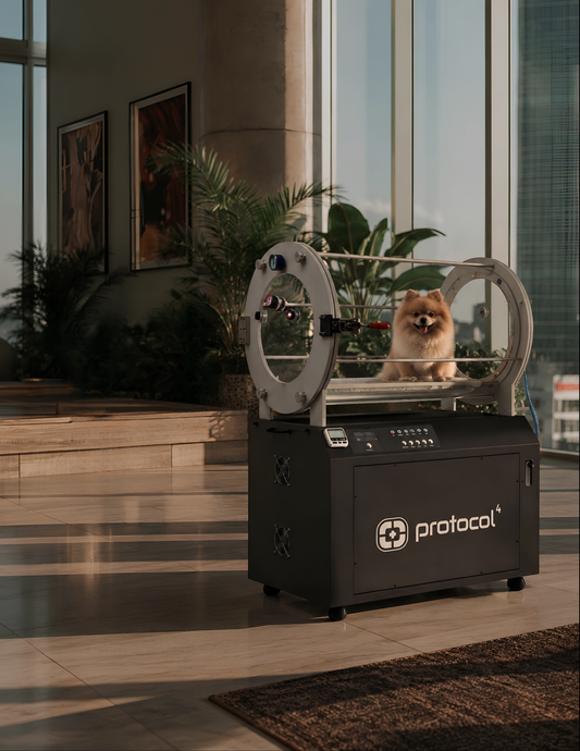 Small Pet Hyperbaric Chamber – Pressurized Oxygen Wellness System