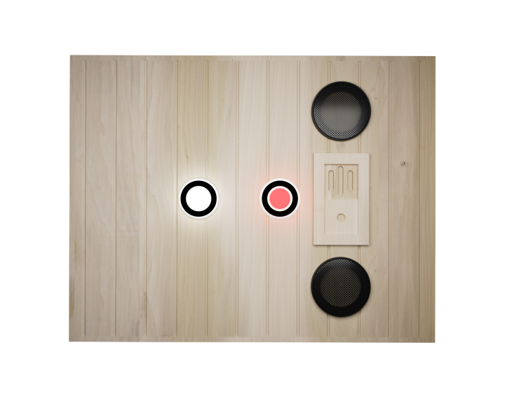 XY-909MB-R European Aspen Far-Infrared Sauna with Bluetooth